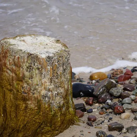 Ostseetraum - Chariette 公寓 *